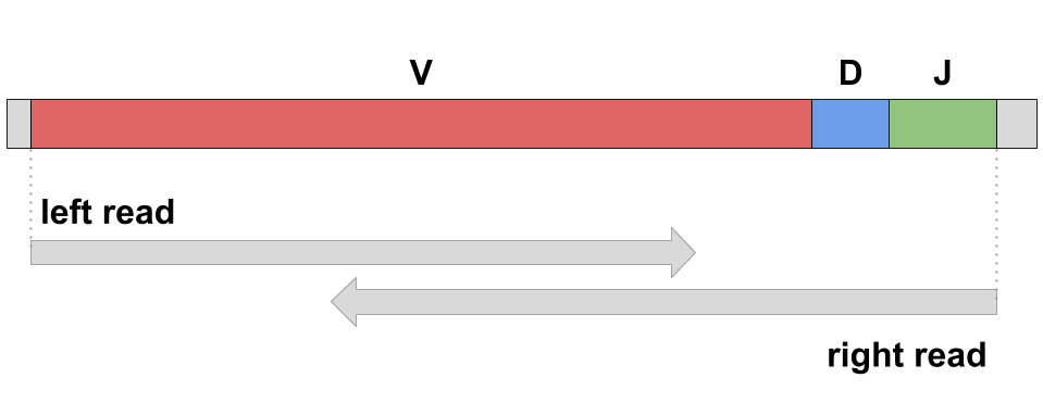 antibody_sequencing